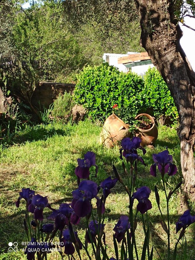 El Lucero Vendégház Alájar Kültér fotó
